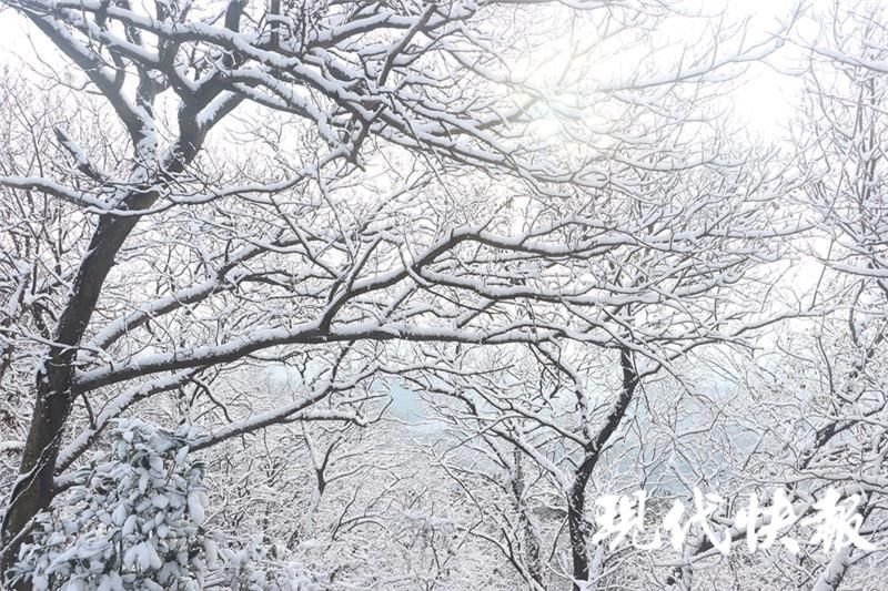 仙宫|美！茅山初雪，银装素裹似“仙宫”