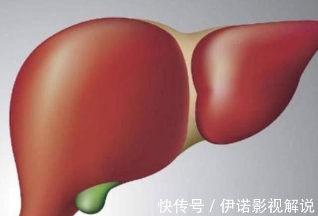 排毒|它们是肝脏“解毒王”，每天吃一些，排毒养肝，肝脏更健康