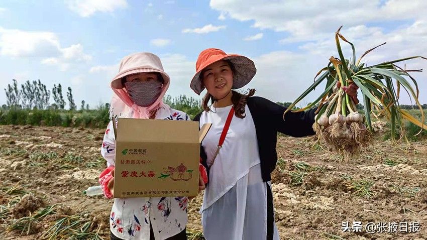 民乐|不悔的互联网情缘——记民乐县“和民乐”互联网平台经理王英