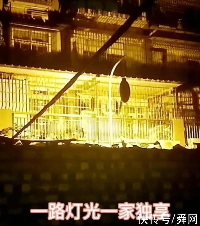 橘子树|“一棵自律的橘子树有多可怕……”哈哈哈可这不符合力学啊!