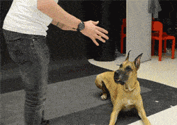 |搞笑GIF：你早就该打了，他也该打，唉，耽误我上班