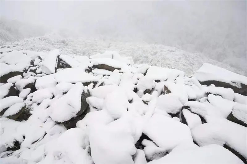 冰雪|绝美雪景！古蔺邀请你来体验“冰雪奇缘”