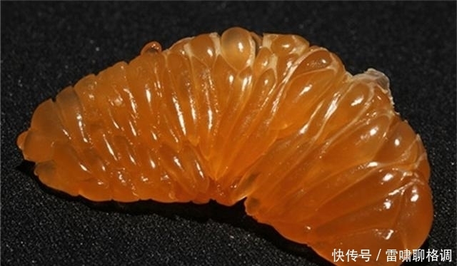 种算|这6种“奇葩”的水果,认出3种算你厉害,网友:第1个就看得头疼