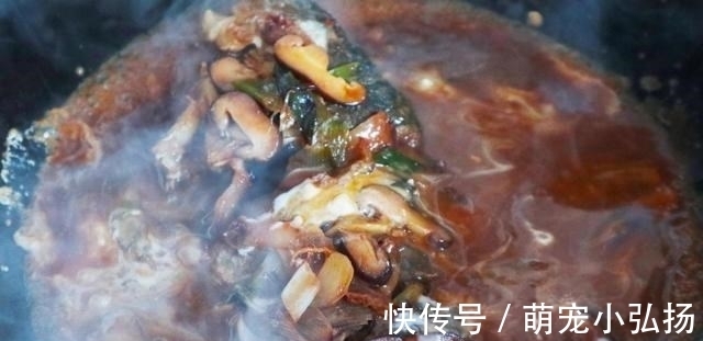 三道鳞|这鱼在北方很常见，一斤12元，肉多刺少，炸好一红烧，吃着真解馋