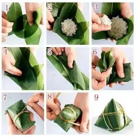 叶子|7种叶子，适合包粽子，操作方便还有竹香！