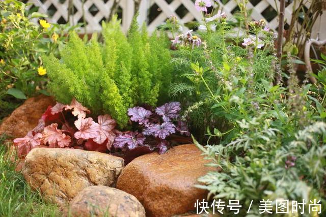 黄先森|3年前,他买了一栋带花园的小洋房,为她打造了一个童话般的花园