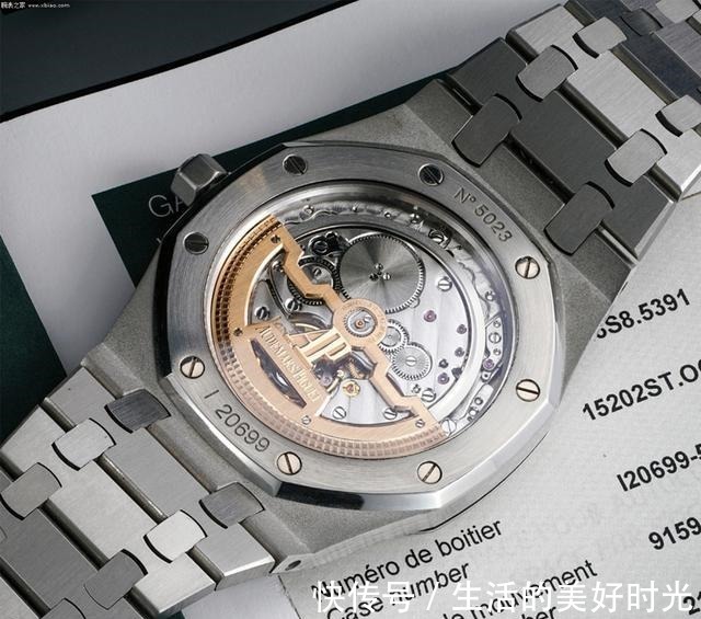 罗杰杜彼 没有了百达翡丽“鹦鹉螺”,可以买什么表!