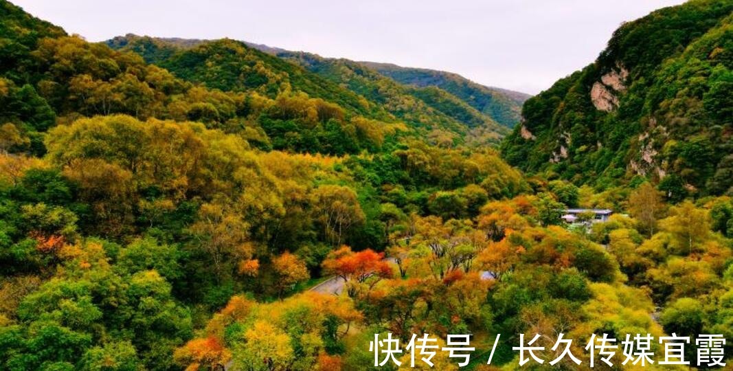 成吉思汗|黄土高原上的“绿色明珠” 六盘山国家森林公园