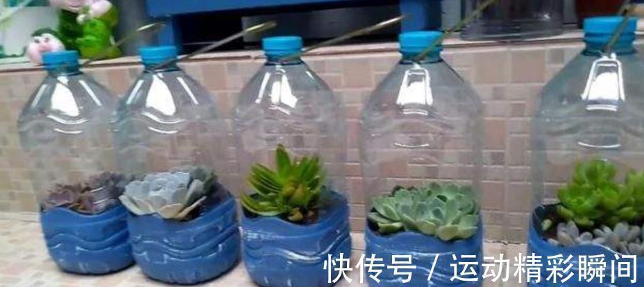 变废为宝:家里1种垃圾别丢了,给花草保暖,防冻增湿长势好