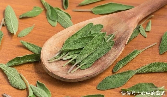  泡水喝的话|丹参和三七哪个通血管比较好？