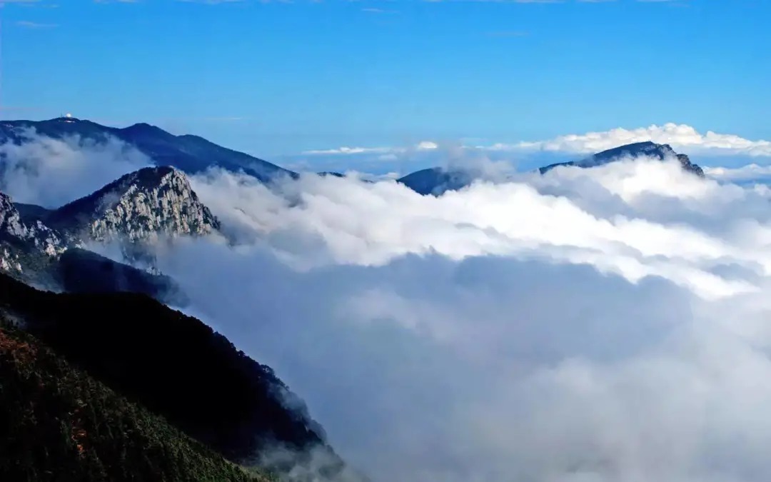 庐山#白居易在庐山写下一首诗,短短二十八字,便成为千古绝唱!