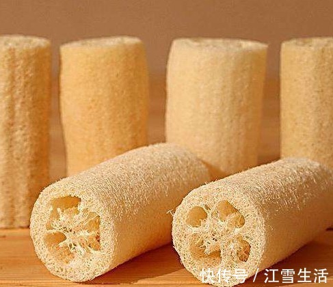 功效|农村总拿它当洗碗布,却不知“功效”堪比冬虫夏草,了解一下