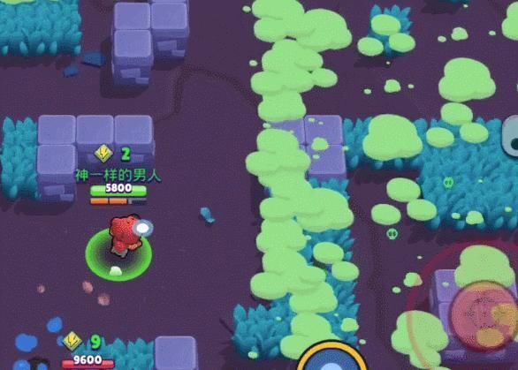 不到|荒野乱斗抽不到传奇英雄别伤心,这些免费英雄也同样值得培养