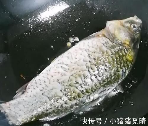 火候|怎样炖鱼汤又白又鲜还不腥？记住这4点，鱼汤鲜美又营养，美极了