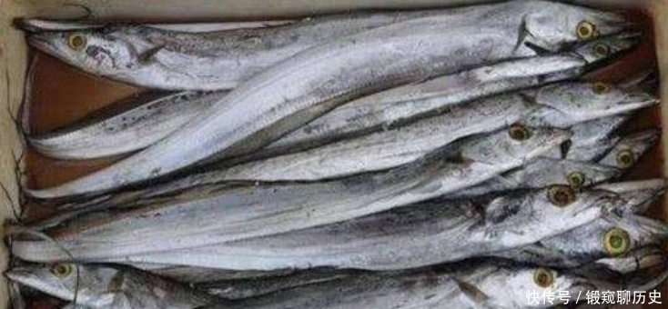 行家|买带鱼时,遇到这3种带鱼,聪明人扭头就走,鱼贩子坦言:遇到行家了