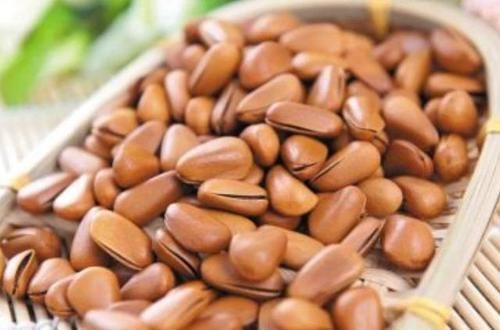 父母|以下零食,孩子经常吃或会头脑聪明个子高,但很多父母却不了解