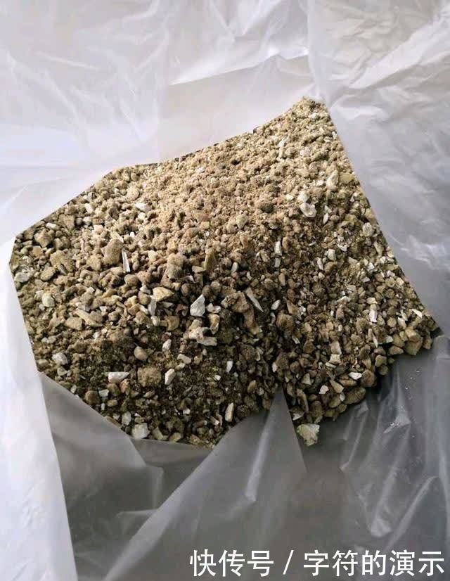 施肥|用这些不起眼的东西养花,根壮叶绿,半年都不用施肥