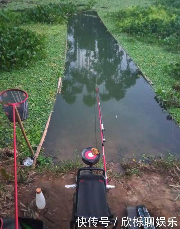 钓鱼小药并不神秘,自制比买的还要好,大部分自家厨房就有