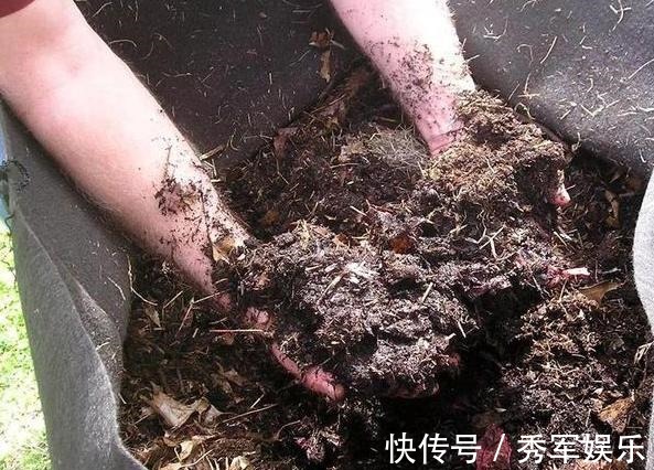 排水性|养花旧土该如何重复利用掌握这些,不用多费劲就能变成新土
