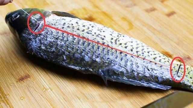 鲤鱼|厨师长教你：“红烧鲤鱼”的家常做法，汤汁浓郁，鱼肉细嫩，收藏