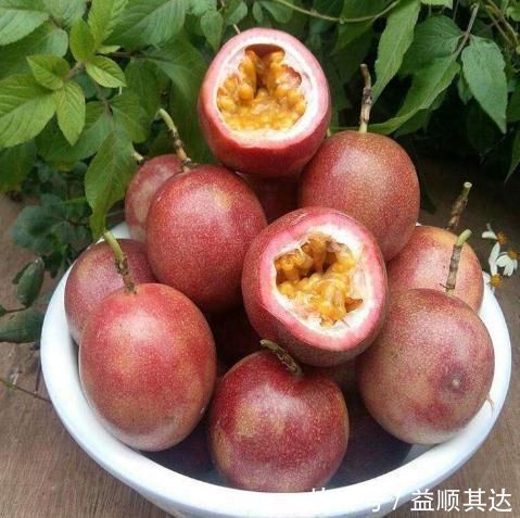 体内湿气|湿气的“死对头”发现了,早晚坚持吃,或可排出湿气,体重“悄悄降”!