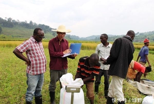 要来|非洲一盘白菜60元, 中国人来这开荒收获后, 当地人争相要来下地