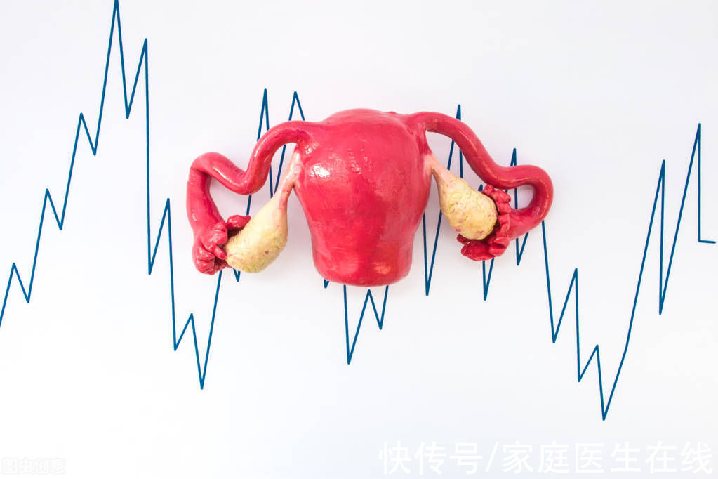 卵巢|别让这个“姐妹”过早离开,女性该保护好它,它一生都在为你奉献