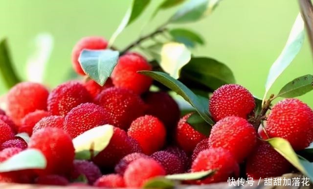 樱桃|夏天,这4种碱性水果要常吃,营养好吃还消暑,别不舍得买!