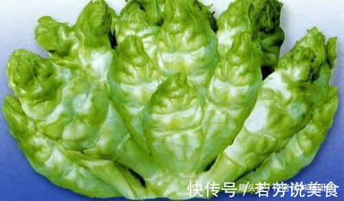 有一种青菜好吃不好种,北方人很少吃到,你知道是啥菜吗