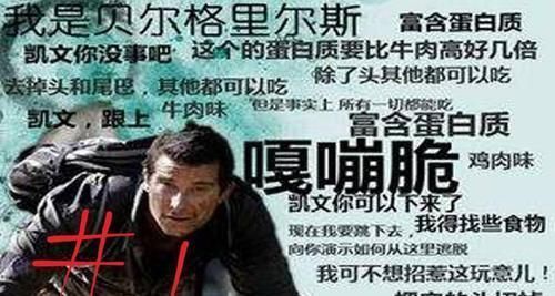 蛇头|鱼塘里横扫一切的黑鱼,连食人鱼都不怕,它们的天敌是什么鱼?