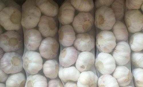 今天才知道,保存大蒜如此简单,放多久都行,再也不怕大蒜长芽了