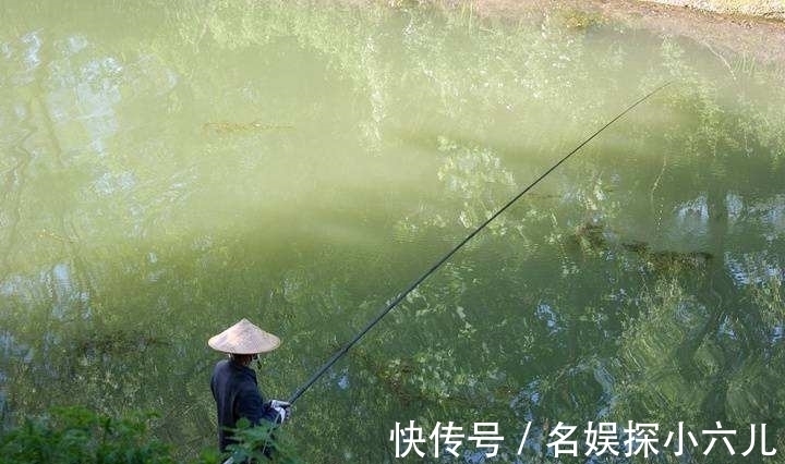 仲秋钓鲫鱼，会用这两种钓法，中钩的鱼，不仅个头大，数量还不少