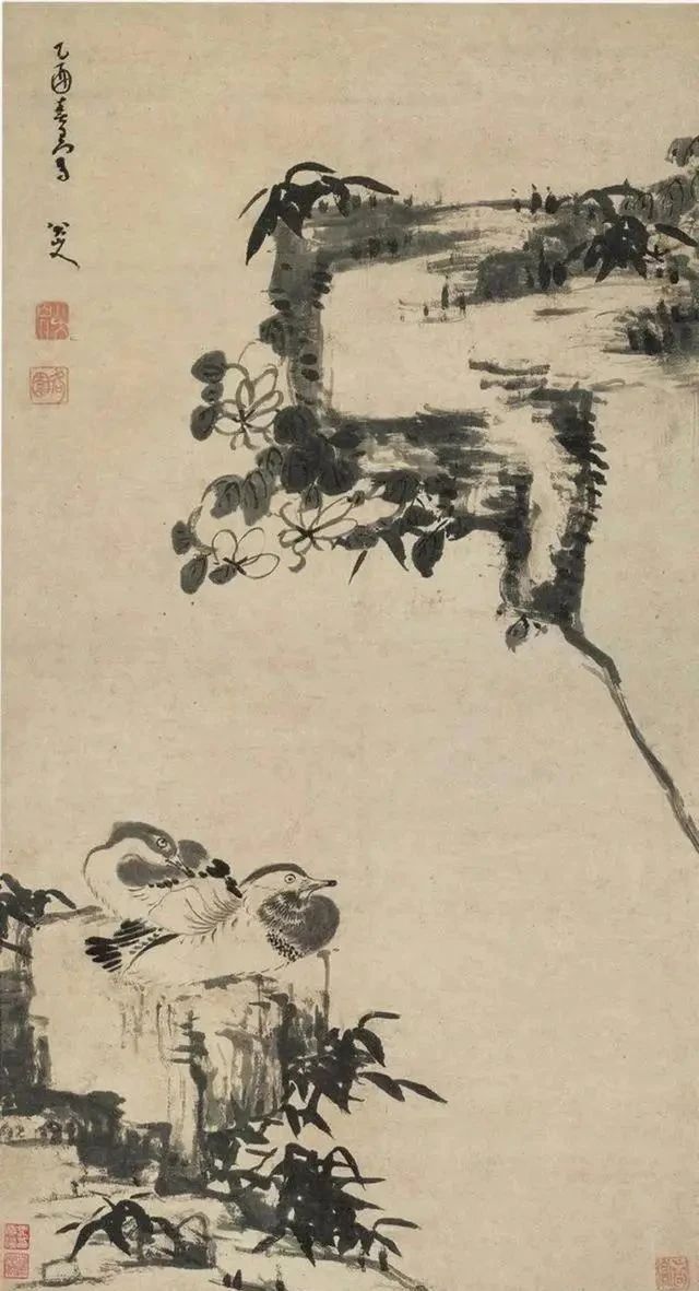 荷花鸳鸯图|同是画两只鸳鸯,与齐白石相比,八大山人的作品也是不输的