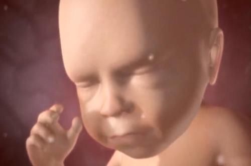 李仙儿|孕妇在大哭的时候,胎儿也会跟着流眼泪吗?一张图告诉你“真相”