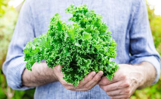 逍遥丸|逍遥丸与更年期，更年期可以吃逍遥丸吗注意4类人不能吃