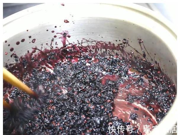 桑树|桑葚熟了,教你做好吃的桑葚酱,放1年不变质,学会做给家人吃