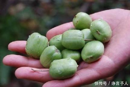 皱纹|女性过了40岁不想老的快,此果子每天吃两个,皱纹减少许多