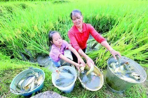 黔东南|印象黔东南(榕江)，自然美，生活之美