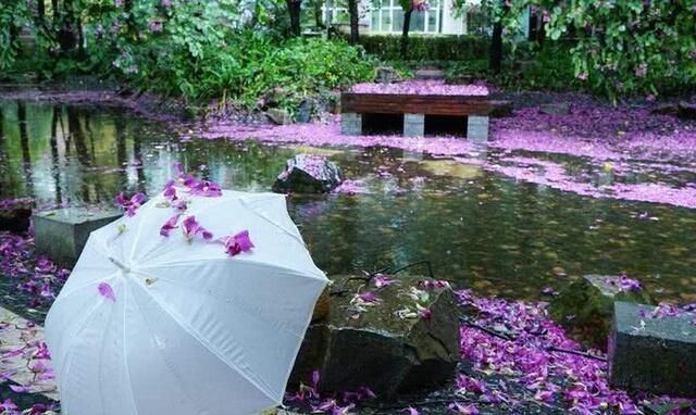 唐诗宋词$仅次于李清照的女词人,一首幽怨的闺怨诗词写出“断肠芳草远”