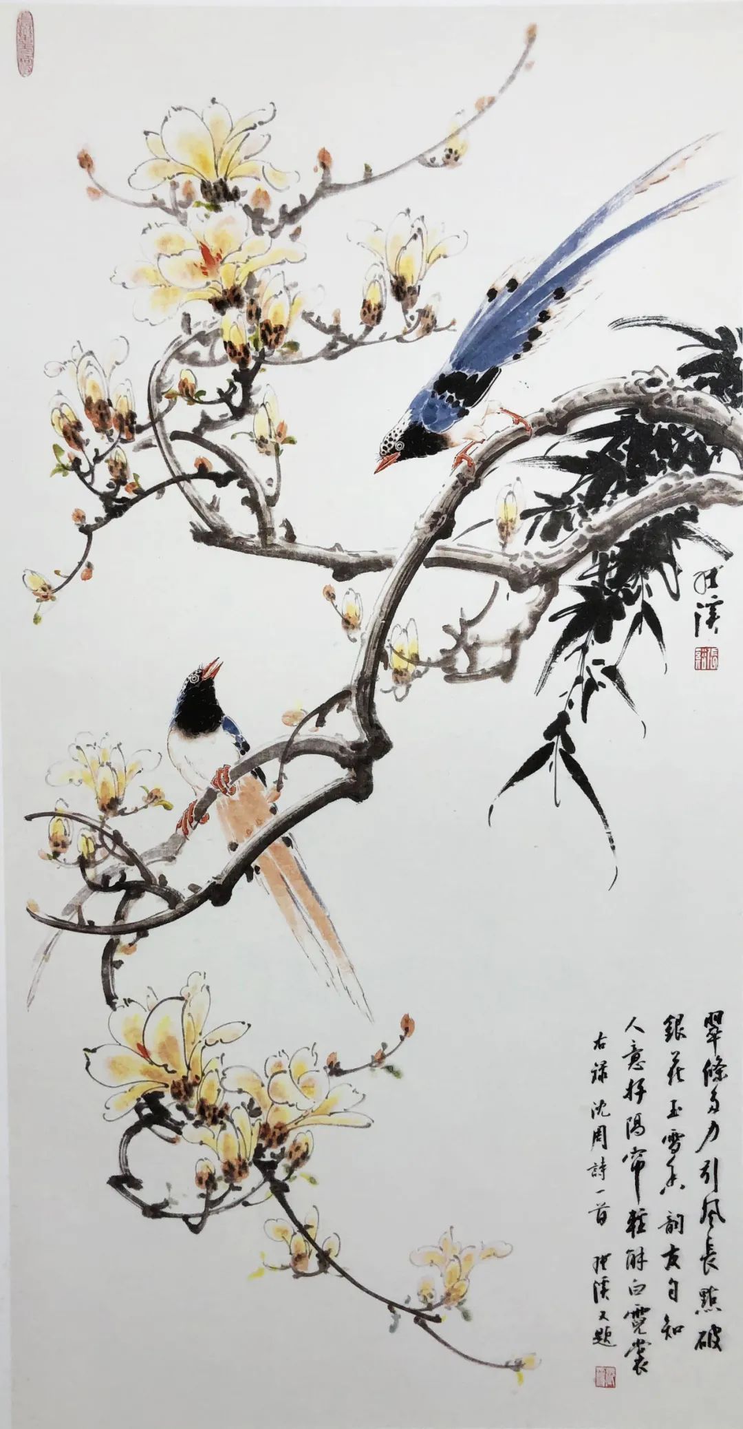 笔墨!妙造自然·巧得天趣——张秋波小写意花鸟画艺术品鉴