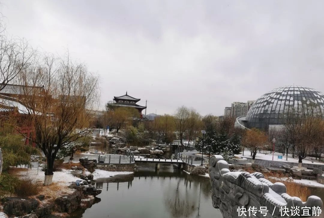 中年|难得一见的春日雪景，美到心醉！