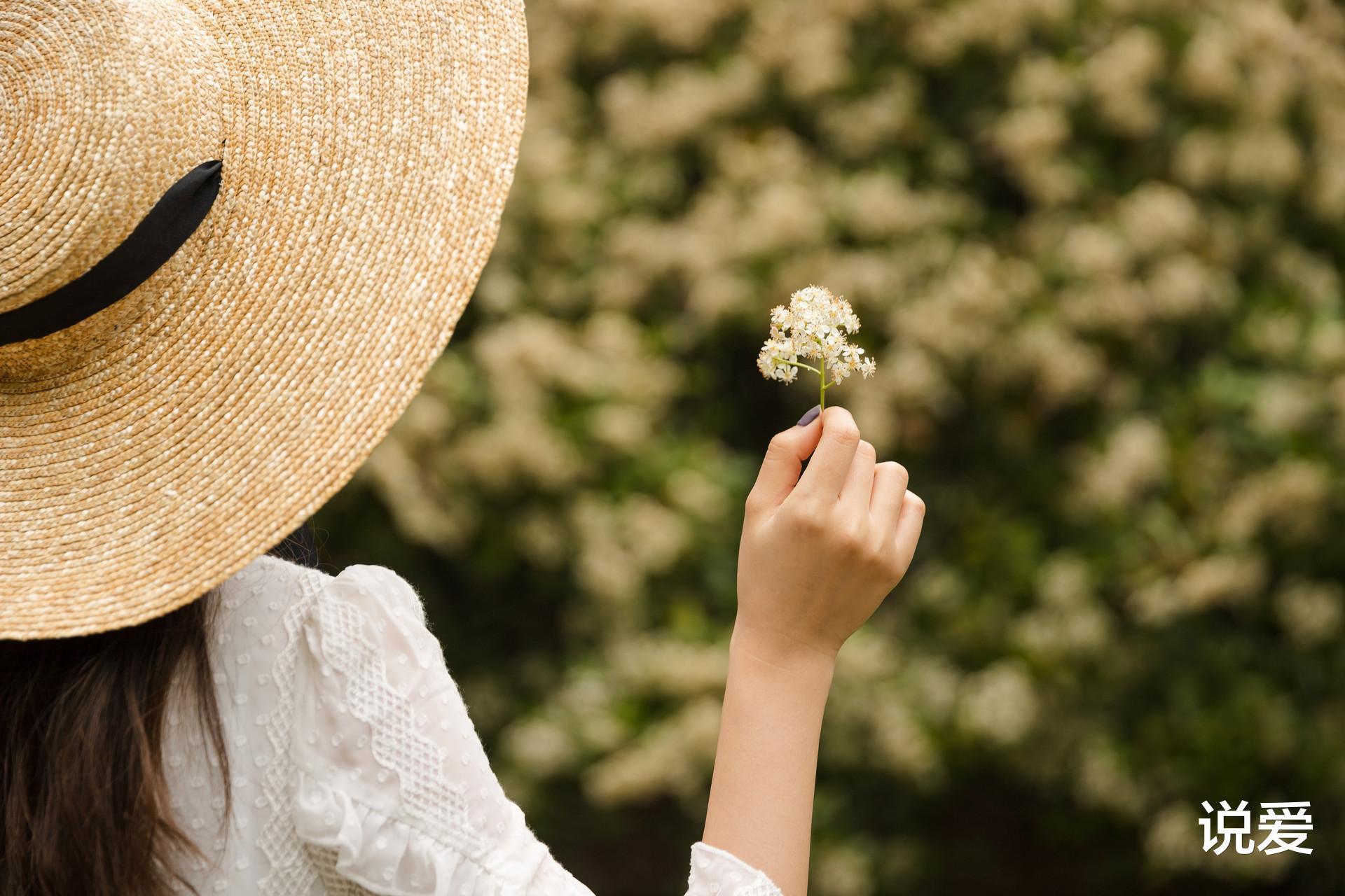 贾平凹@那些真正厉害的女人,早都把人生调成了“安静模式”