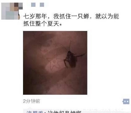 |最搞笑的朋友圈合集:看见这朋友圈,我发现我还是有治的!