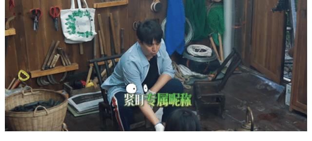 黄磊|《向往5》当梁靖康做客蘑菇屋时有谁注意黄磊彭昱畅反应？太真实