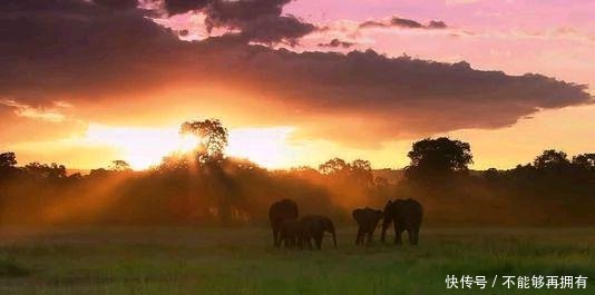 五本完结后仍旧巅峰的玄幻小说,高评分高质量,本本经典你看过吗