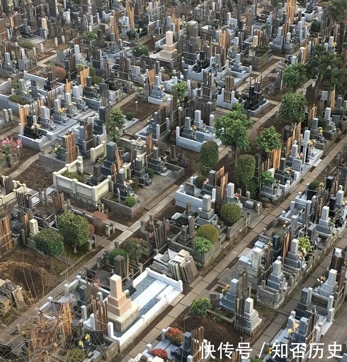 张让|9张让人产生“错觉”的照片,图8的小龙虾只是在锅里