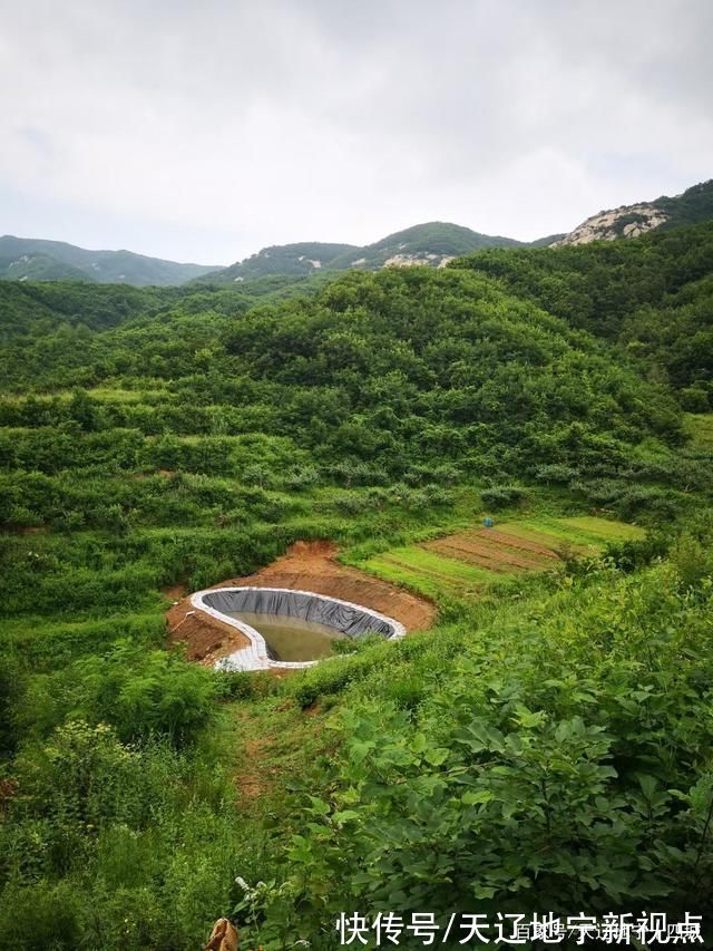 农民日报|神奇弥境山