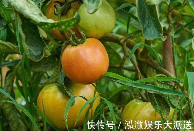 宝宝|怀孕期间,3种食物孕妇不适宜吃,宝宝可能会不喜欢哦