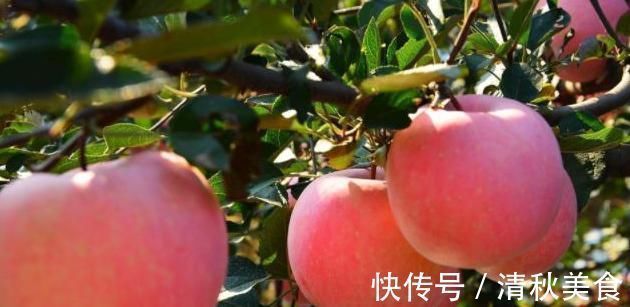 身体|早上空腹一个苹果的人,身体不会差,但要警觉“两不”,早知早好