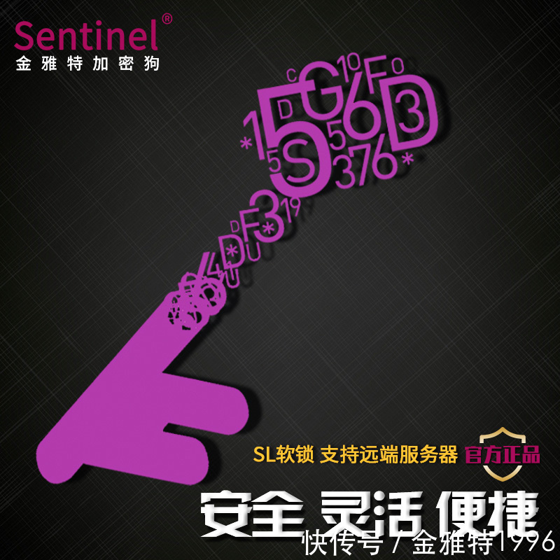 圣天诺|Eocortex:安全监控软件加密狗硬件锁转型软锁过程